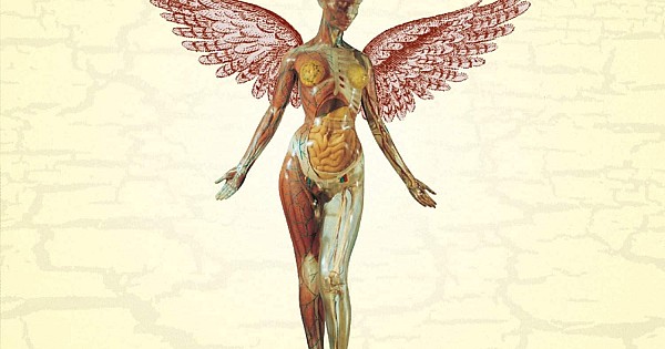 Nirvana - In Utero Plak LP - 720642453612